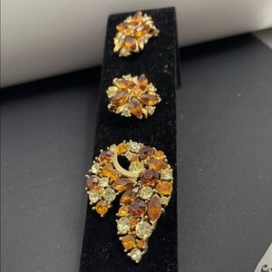 Elegant Gold and Orange Jewelry Set